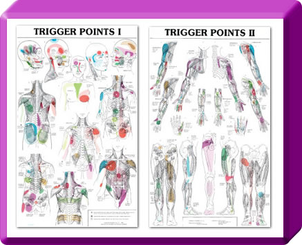 Location of Trigger Points throughout the Body
